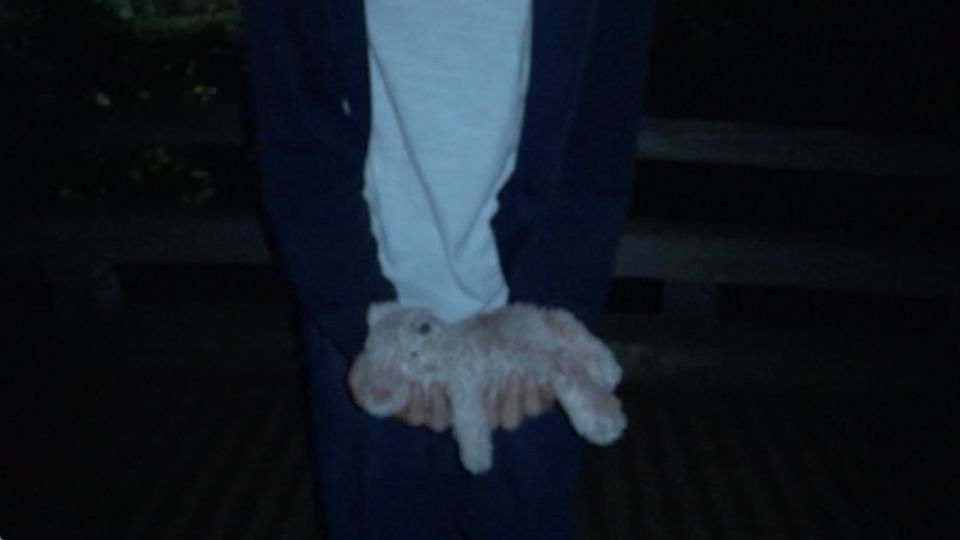 Ghostly Obon 16: The Withered Flower of the Puppet Curse